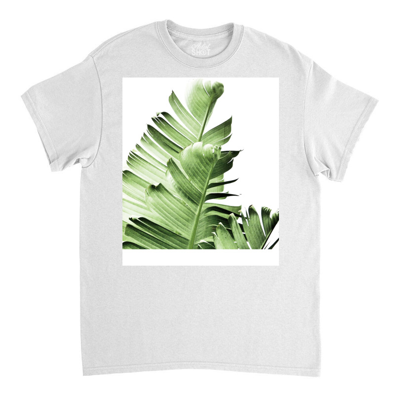 Banana Leaves2 Classic T-shirt by sedegsuznikc | Artistshot