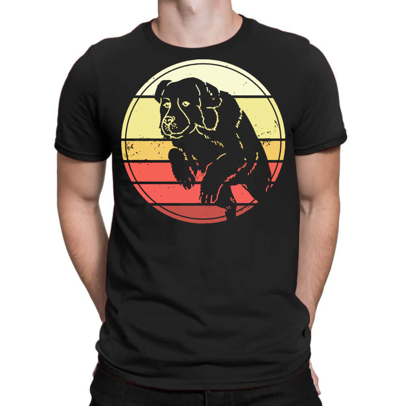 Landseer T  Shirt Cool Landseer Dog Sunset T  Shirt T-shirt | Artistshot