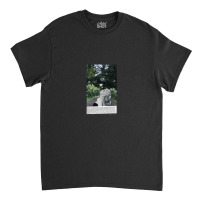 La Dolce Vita Marcello Mastroianni Silvia Classic T-shirt | Artistshot