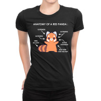 Anatomy Of A Red Panda Science Zoologist Red Panda Anatomy Ladies Fitted T-shirt | Artistshot