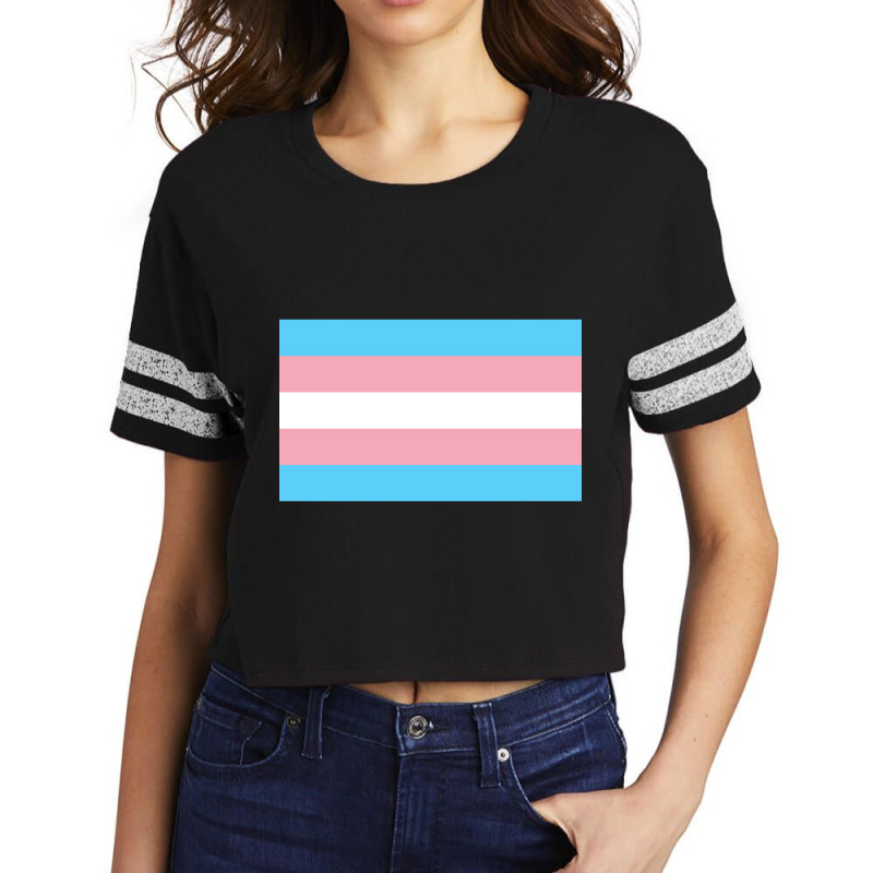 Hot Trend Trans Flag Scorecard Crop Tee by poppyallen | Artistshot