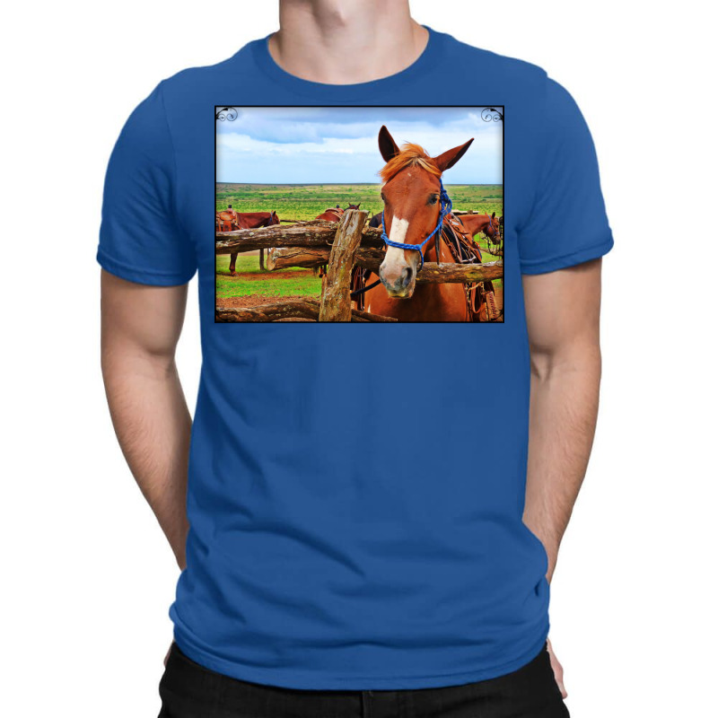 Horses In Maui Hawaii Classic Tshirt Red T-shirt | Artistshot