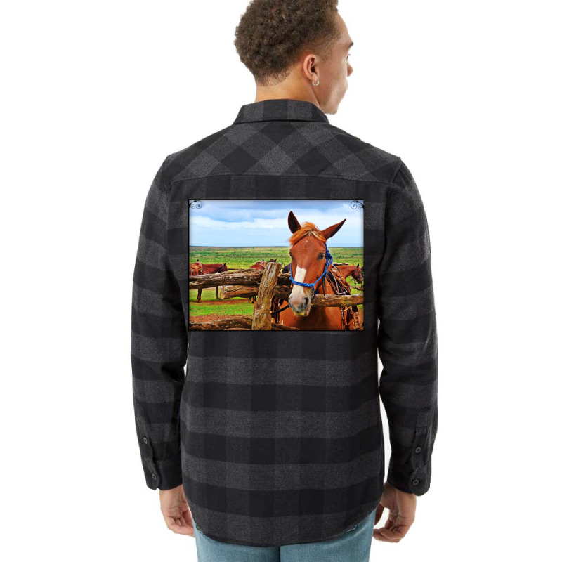 Horses In Maui Hawaii Classic Tshirt Red Flannel Shirt | Artistshot