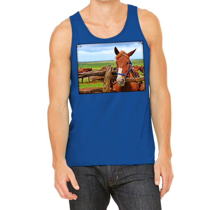 Horses In Maui Hawaii Classic Tshirt Red Tank Top | Artistshot