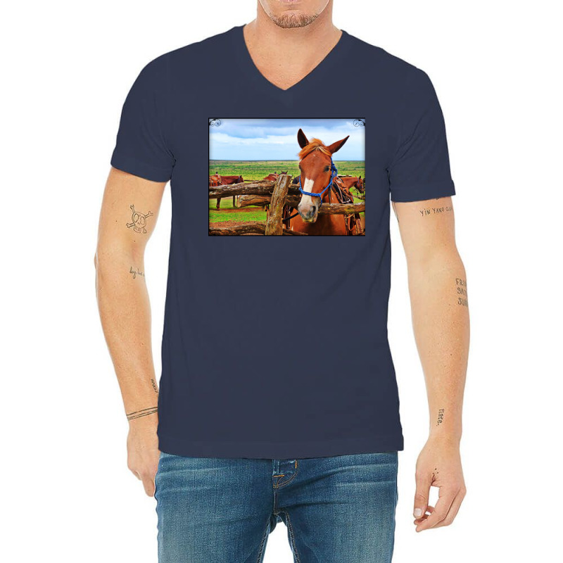 Horses In Maui Hawaii Classic Tshirt Red V-neck Tee | Artistshot