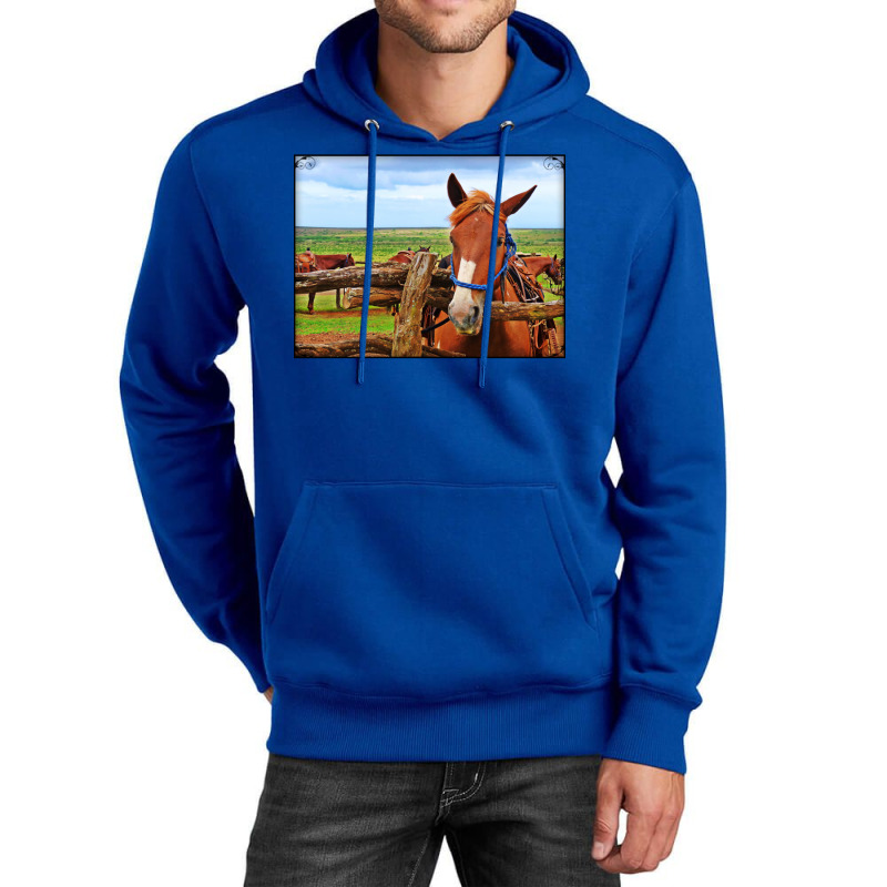 Horses In Maui Hawaii Classic Tshirt Red Unisex Hoodie | Artistshot