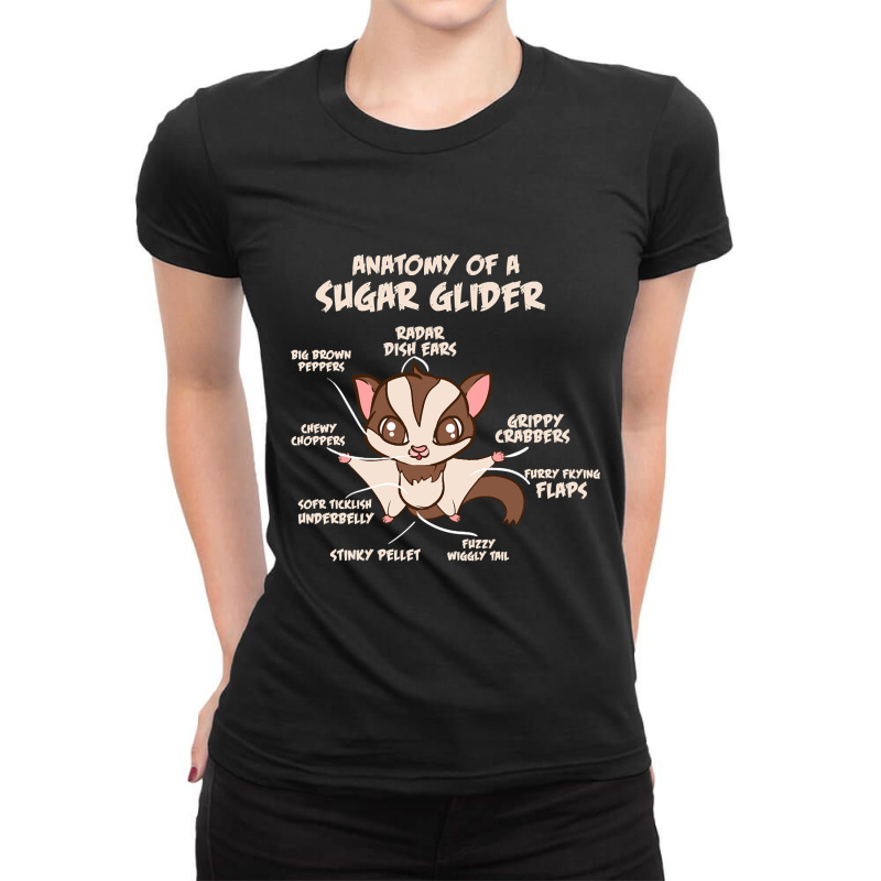 Trending Anatomy Of A Sugar Glider Possum Ladies Fitted T-Shirt by Box Bingham | Artistshot