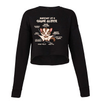 Trending Anatomy Of A Sugar Glider Possum Cropped Sweater | Artistshot