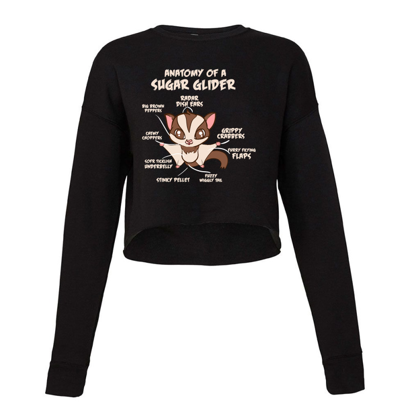 Trending Anatomy Of A Sugar Glider Possum Cropped Sweater by Box Bingham | Artistshot