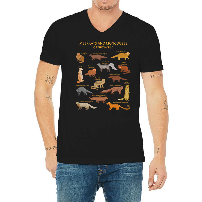 Trending Meerkat And Mongoose Species V-Neck Tee by Ledford Leslie | Artistshot