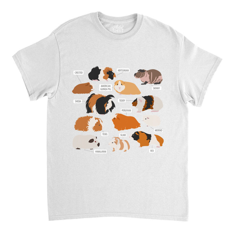 Guinea Pig Breeds   Costume Clothing Accessories Classic T-shirt | Artistshot