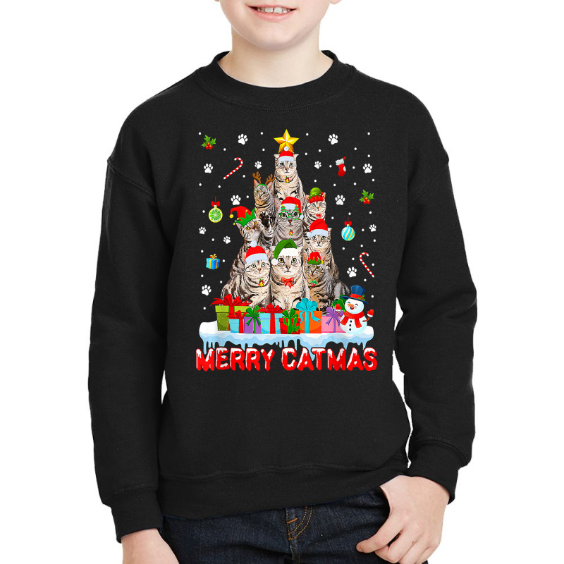 Funny American Shorthair Cat Lovers Cute Holiday Christmas T Shirt Youth Sweatshirt by anselmpru9bt | Artistshot