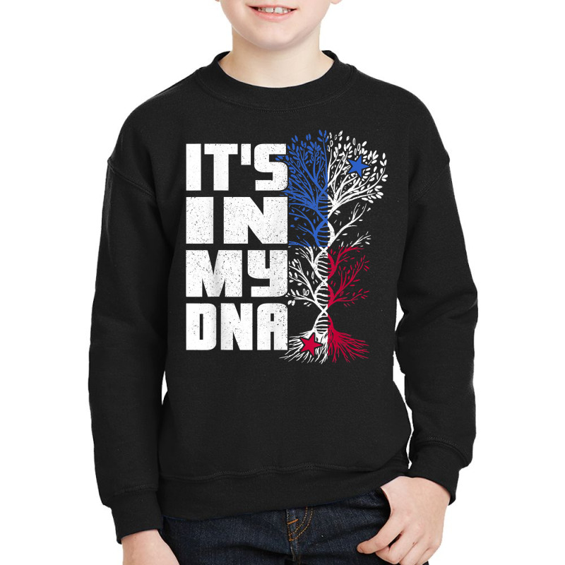 Its In My Dna Patriotic Apparel Panama Flag Proud Panamanian T Shirt Youth Sweatshirt by tawny4okburd | Artistshot