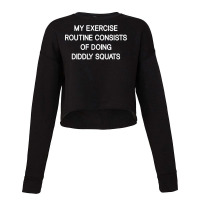 My Exercise Routine Consists Of Doing Diddly Squats, Funny T Shirt Cropped Sweater | Artistshot