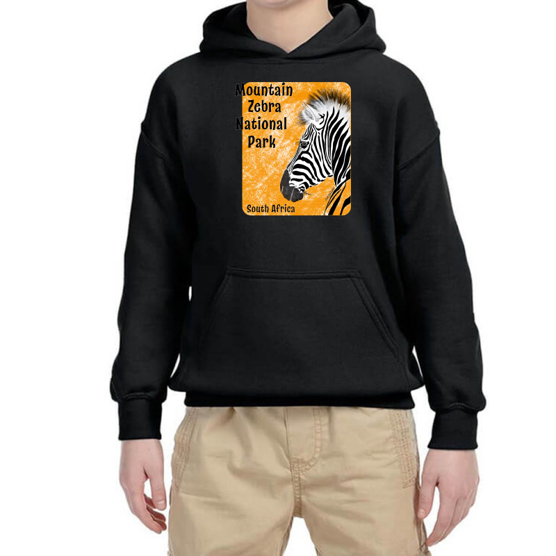 Limited Edition Mountain Zebra National Park, South Africa Youth Hoodie by Box Bingham | Artistshot