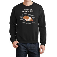 Anatomy Of A Guinea Pig Clothes Cavy Outfit Gift Guinea Pig Crewneck Sweatshirt | Artistshot