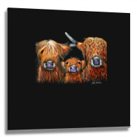 Cow Print Scottish Highland  We 3 Coos On Grey  By Shirley Macarthur B Metal Print Square | Artistshot