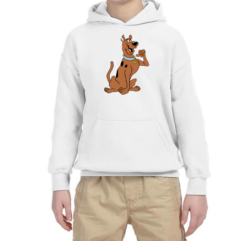 Scooby Cartoon Youth Hoodie by devinmathis | Artistshot