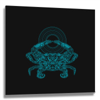 Crustacean Groove Metal Print Square | Artistshot