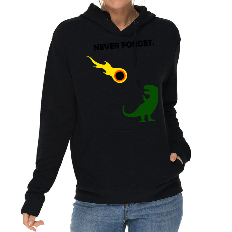 Never Forget (dinosaurs) Baby Yellow Lightweight Hoodie | Artistshot