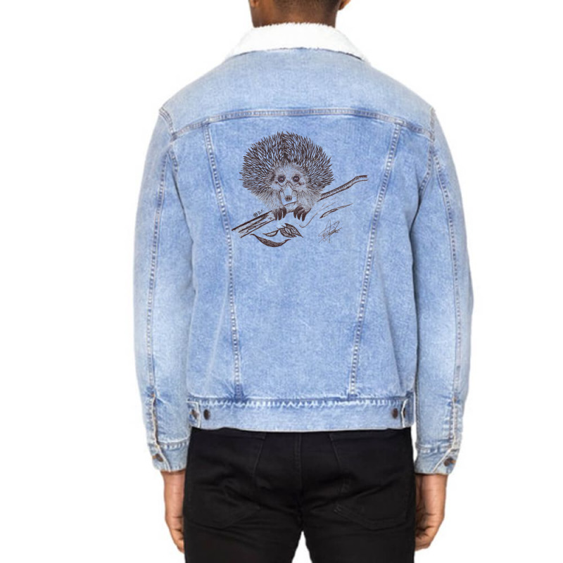 Summer Music Unisex Sherpa-Lined Denim Jacket by aclanddarmeno | Artistshot