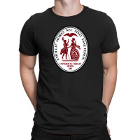 University Of South Carolin T-shirt | Artistshot