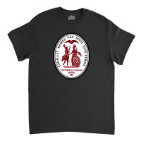 University Of South Carolin Classic T-shirt | Artistshot