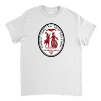 University Of South Carolin Upstate Classic T-shirt | Artistshot