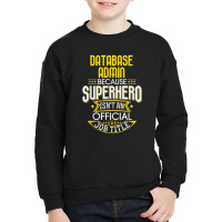 Database Administrator Idea Superhero Job Db Admin Youth Sweatshirt | Artistshot