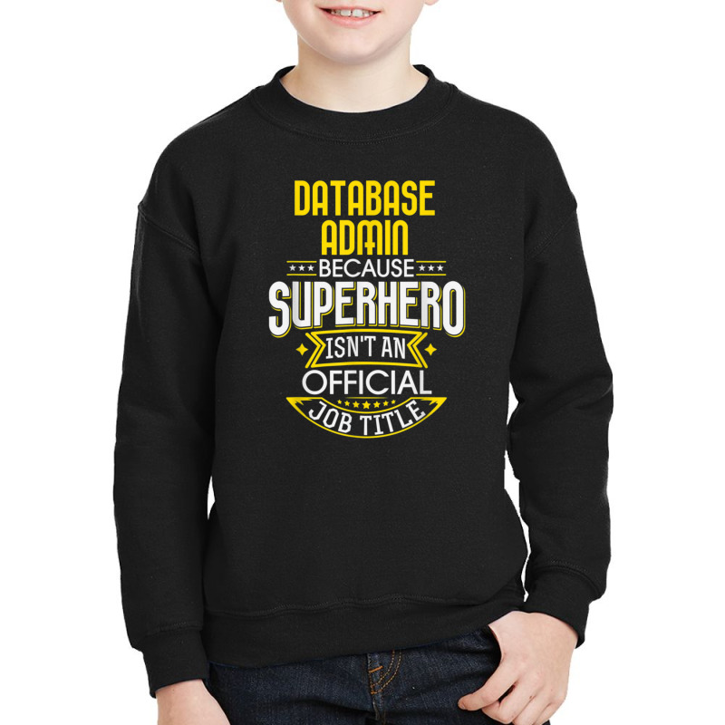 Database Administrator Idea Superhero Job Db Admin Youth Sweatshirt by AcostaLopezJuan | Artistshot