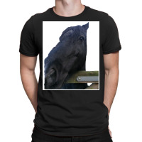 My Lovely Horse Long Poster Funny (1) T-shirt | Artistshot