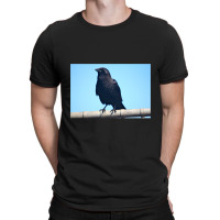 Curiosity And The Crow T-shirt | Artistshot