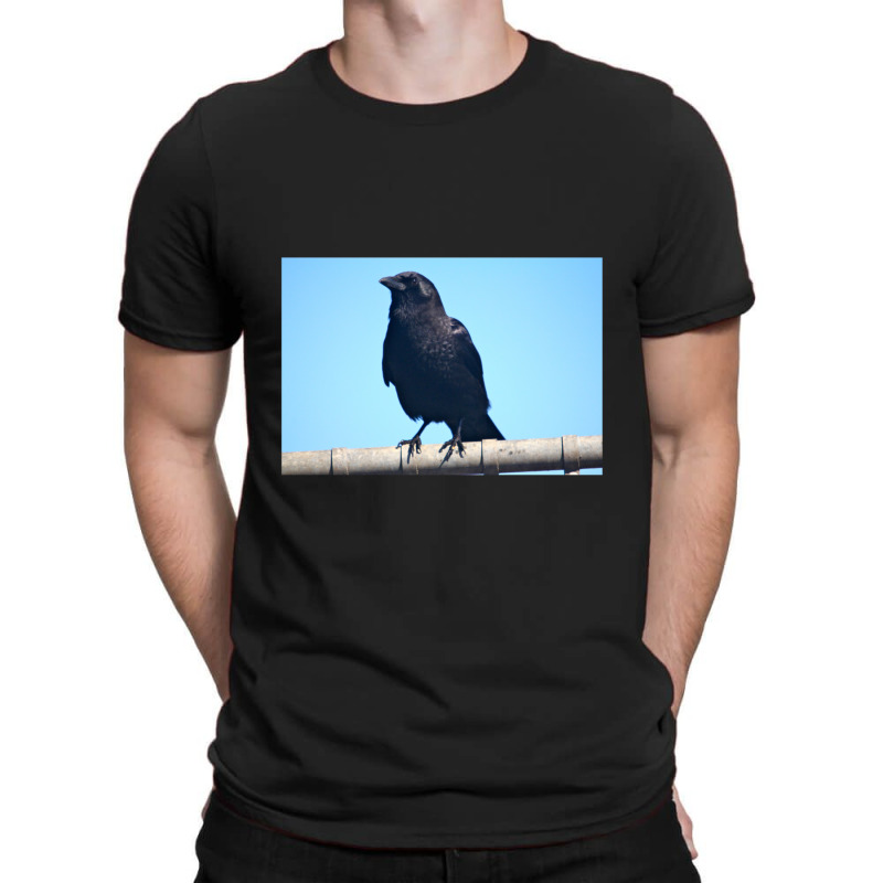 Curiosity And The Crow T-shirt | Artistshot