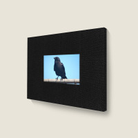 Curiosity And The Crow Landscape Canvas Print | Artistshot