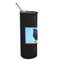 Curiosity And The Crow Skinny Tumbler | Artistshot