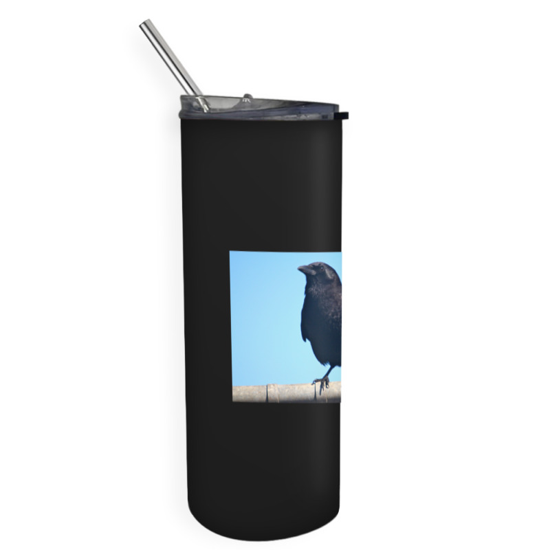 Curiosity And The Crow Skinny Tumbler | Artistshot