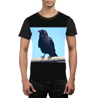 Curiosity And The Crow Graphic T-shirt | Artistshot