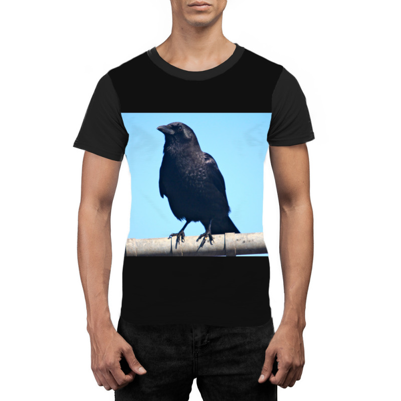 Curiosity And The Crow Graphic T-shirt | Artistshot