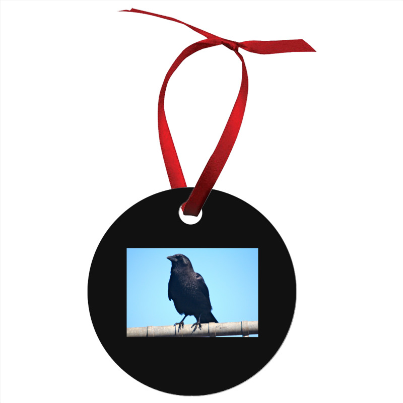 Curiosity And The Crow Ornament | Artistshot