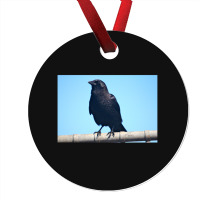 Curiosity And The Crow Ornament | Artistshot