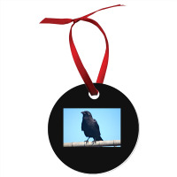 Curiosity And The Crow Ornament | Artistshot