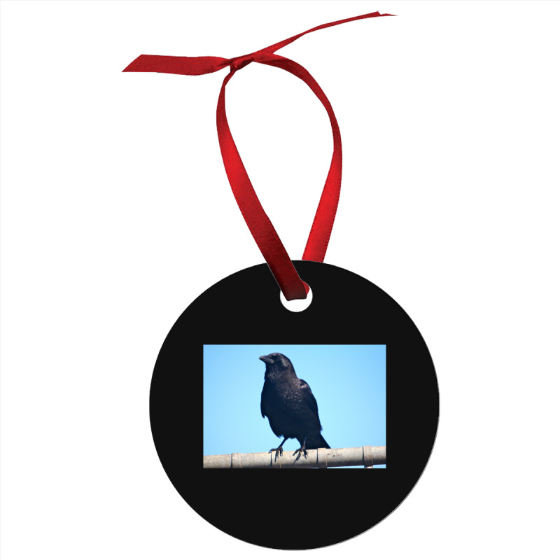 Curiosity And The Crow Ornament | Artistshot