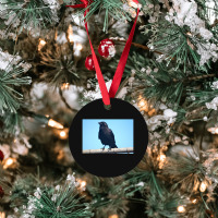 Curiosity And The Crow Ornament | Artistshot