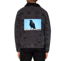 Curiosity And The Crow Unisex Sherpa-lined Denim Jacket | Artistshot