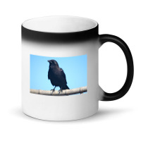 Curiosity And The Crow Magic Mug | Artistshot