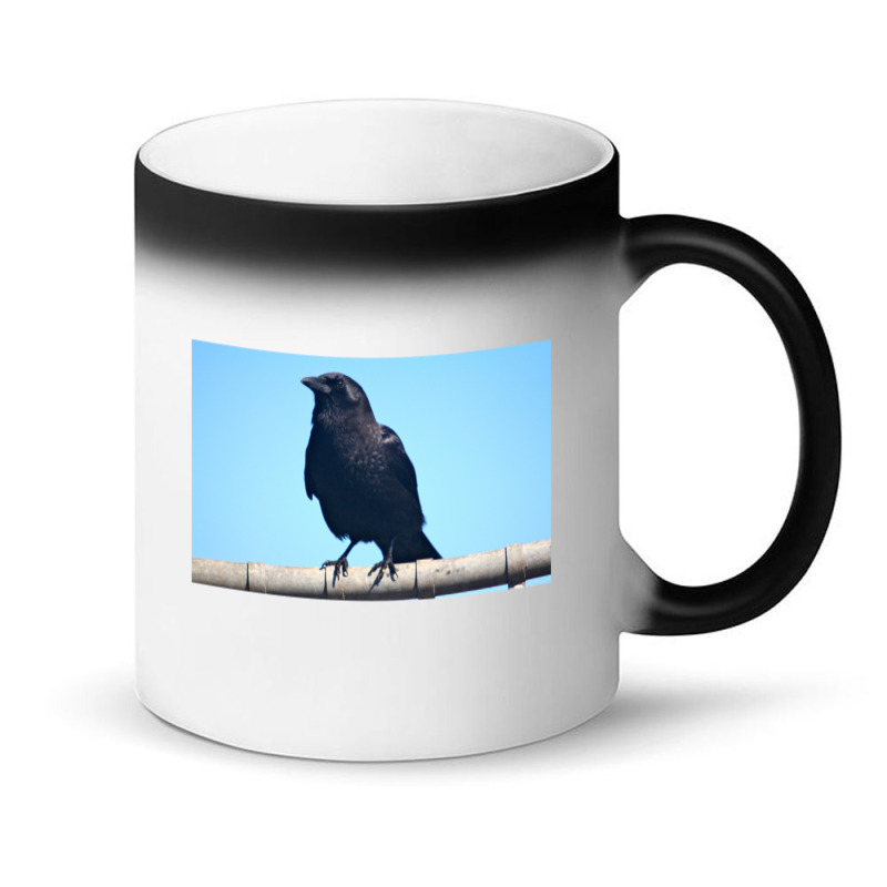 Curiosity And The Crow Magic Mug | Artistshot