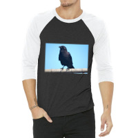 Curiosity And The Crow 3/4 Sleeve Shirt | Artistshot