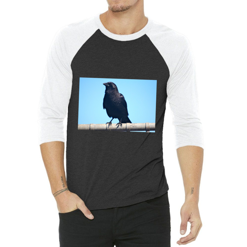 Curiosity And The Crow 3/4 Sleeve Shirt | Artistshot