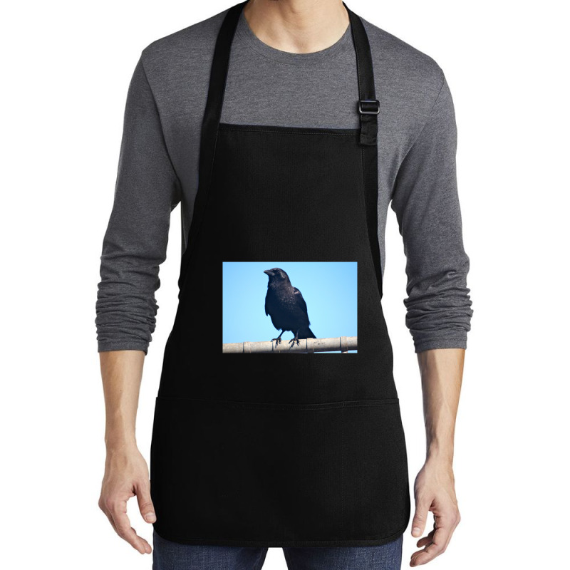 Curiosity And The Crow Medium-length Apron | Artistshot