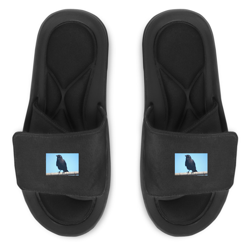 Curiosity And The Crow Slide Sandal | Artistshot